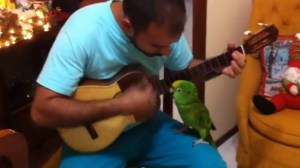 Lorito demuestra su amor por la música venezolana (Video)