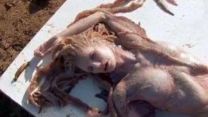 Una “sirena” muerta en la playa conmociona a México (Fotos)