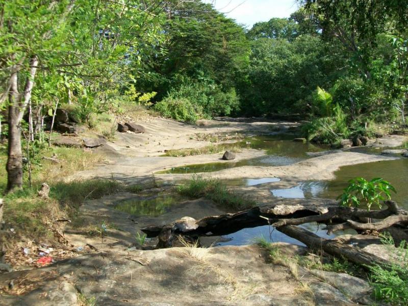 Panamá puede verse afectada por “El Niño”