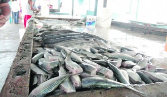 Los consumidores han optado por comprar sardina