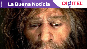 Los neandertales coincidieron hasta 5.400 años con los humanos en Europa