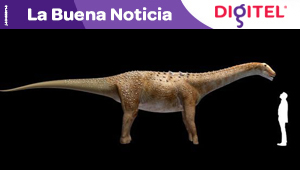 Reconstruyen armadura de último dinosaurio gigante