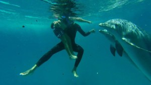 Delfines como terapia en Cuba (Video)