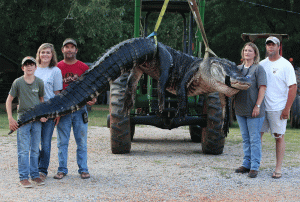 Este es el caimán más grande del mundo (Foto)