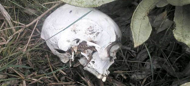 Hallan cráneo humano en el Parque Nacional Sierra de La Culata