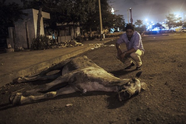 COLOMBIA-CARTAGENA-TOURISM-HORSE