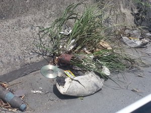 La suciedad de la autopista de Prados del Este en Caracas (fotodetalles)