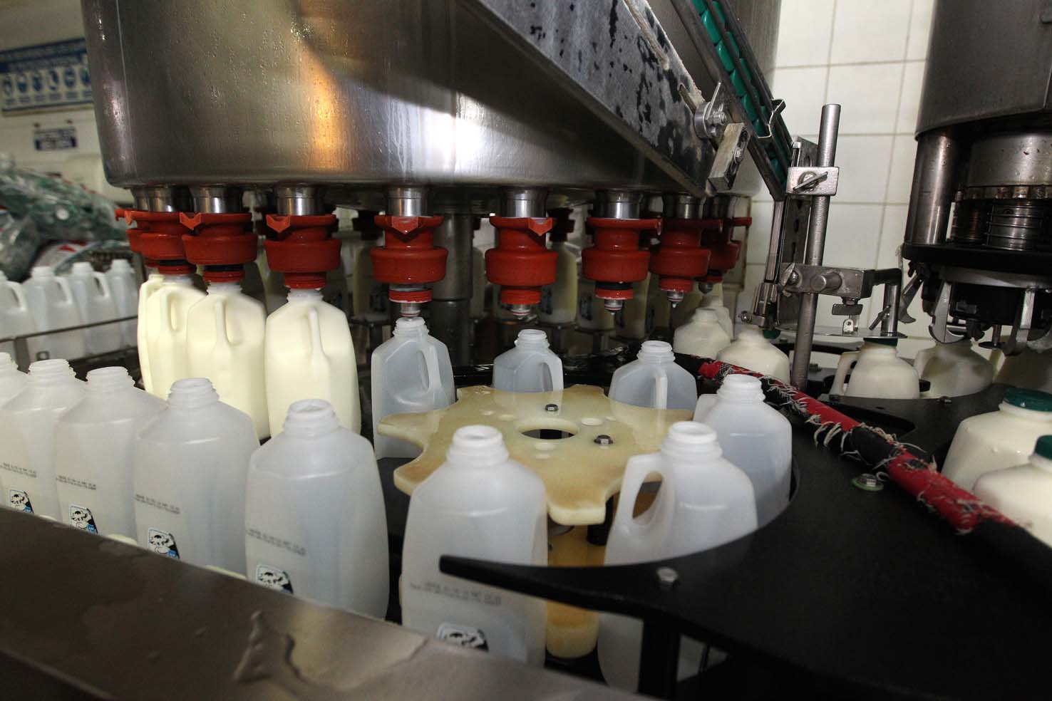 Cavilac dice que escasez de leche se debe a la falta de empaques