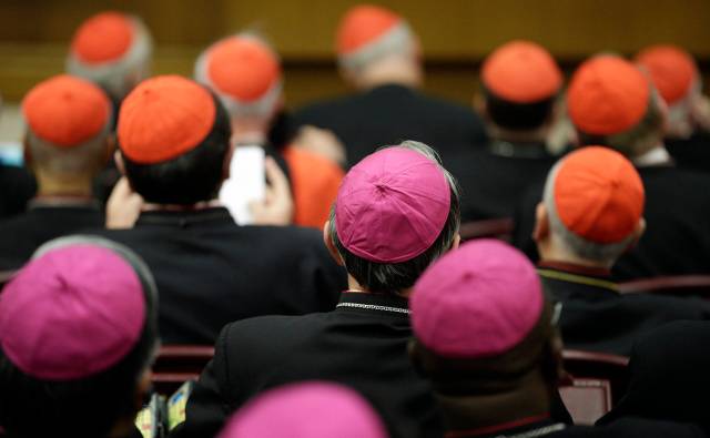 Bishops and cardinals attend a synod of bishops lead by Pope Francis in Paul VI's hall at the Vatican