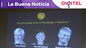 Premio Nobel de Medicina a los descubridores de un GPS interno cerebral