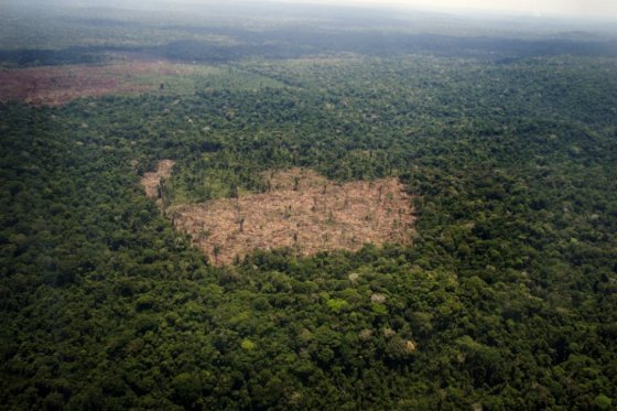 NOTICIA DE VENEZUELA  - Página 19 Deforestacion-amazonica-colombia