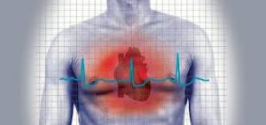 Hallan un nuevo gen responsable de alteraciones cardíacas y muerte súbita