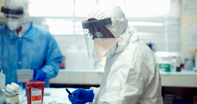 EEUU probará vacuna experimental contra el ébola en seres humanos