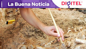 Hallan fósil completo de un pequeño dinosaurio