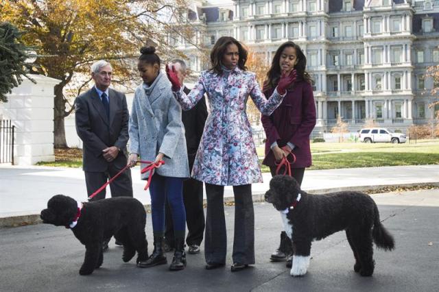 Michelle Obama recibe árbol navideño que adornará Salón Azul de Casa Blanca (Fotos)