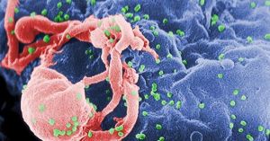 Identifican dónde se “esconde” el VIH de los tratamientos