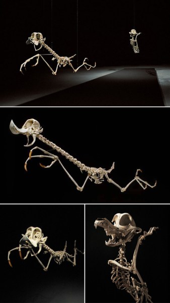esqueletos-animados-2