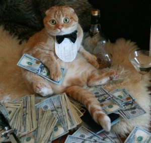 La ridícula moda de los gatos que posan con dinero (+Fotos)