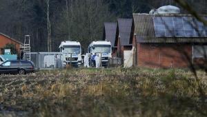Confirman segundo brote de gripe aviar en Alemania