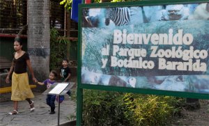 Zoológico Bararida en Barquisimeto custodia y trabaja por la reproducción de dos especies en peligro
