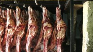 Confiscan 12 toneladas de carne en San Félix