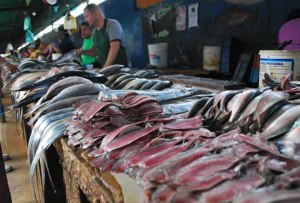 Kilo de sardina fileteada puede costar hasta 150 bolívares