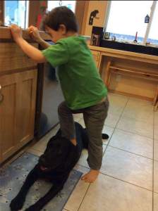Sarah Palin da el Feliz Año Nuevo con la foto de su hijo pisando a su perro