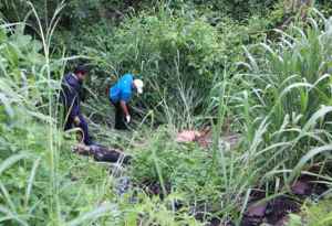 Hallan cuatro cadáveres en avanzado estado de descomposición en Mérida