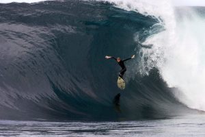 Surfista muere por ataque de tiburón en Australia