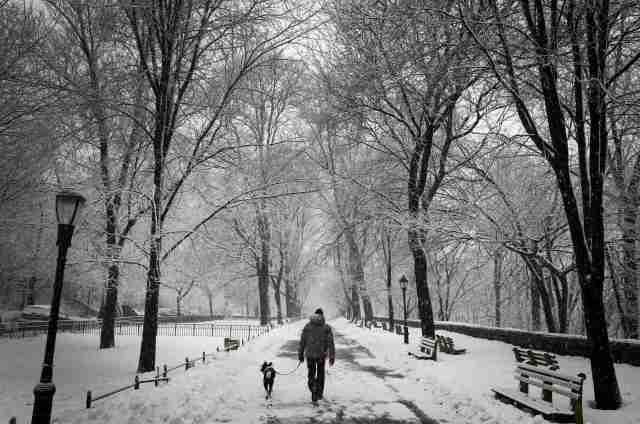 A man walks his dog in falling snow in Riverside Park in upper Manhattan in New York City