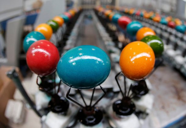 Cooked and coloured eggs travel along the production line at the Schrall coloured eggs company in Diendorf