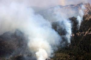 Alerta roja en Chile por incendios forestales en región de La Araucanía