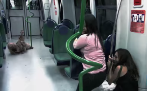 Aterradora broma de un ejército de zombies en el metro (Video)