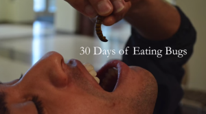 Un joven se alimentó únicamente de insectos durante un mes entero (Video)