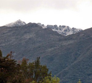 Las montañas de La Grita se vistieron de blanco (Foto)