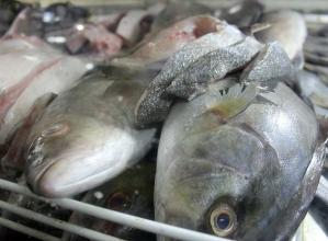 Inflación obligará a pescar en Semana Santa