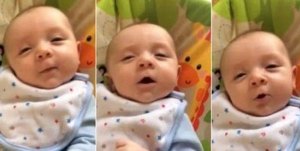Con solo siete semanas… sorprendió a sus padres diciéndoles “Hello” (Video)