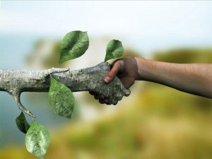 ReciclAula generará conciencia ecológica y social en los jóvenes de El Hatillo