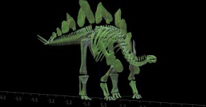 Determinan la masa corporal del esqueleto más completo de estegosaurio