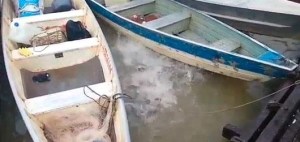 Video: Esto pasa cuando se arroja carne a un río repleto de pirañas