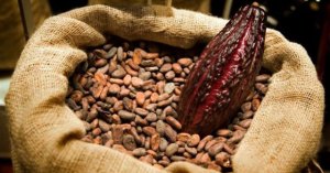 Un compuesto del cacao reduce el riesgo de mortalidad por enfermedad coronaria