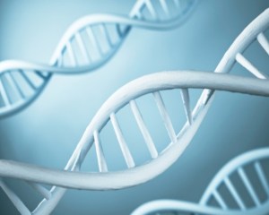 Científicos manipulan genes de embriones humanos
