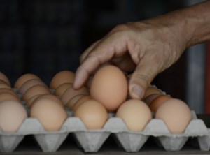 ¡Llegó Huevo Today! La cuenta que informa sobre el precio del cartón de huevos
