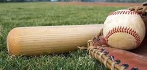 Las páginas especializadas en el béisbol