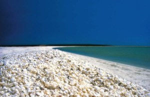 Cinco playas de la Florida que son verdaderos tesoros