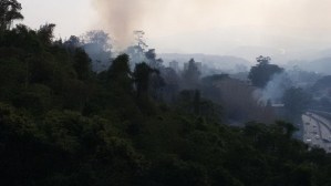 Reportan incendio forestal en Los Teques #6M (Fotos)