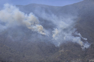 Lloviznas atenuaron incendios forestales en El Avila y Fuerte Tiuna