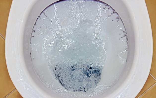 ¡Asco! Una limpiadora bebió agua de la poceta para demostrar que “ama su trabajo” (VIDEO)
