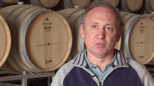 El incierto futuro del vino argentino (Video)