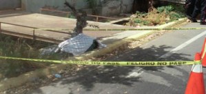 Hallan cadáver de un hombre atado a la rama de un árbol en Maracaibo